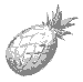 Bottom Pineapple