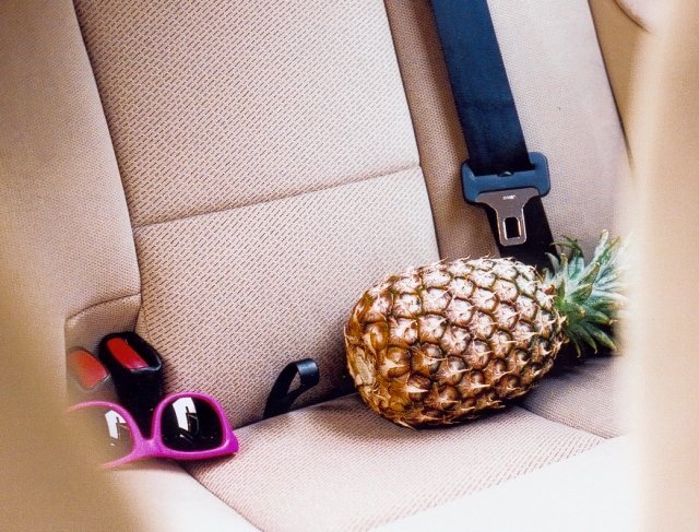 All tired out after a long day