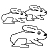 Three rabbits